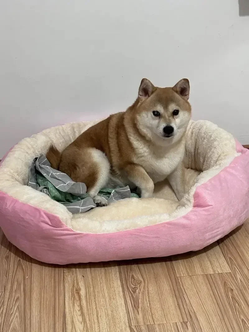 CloudLounge Calming Sofa Bed