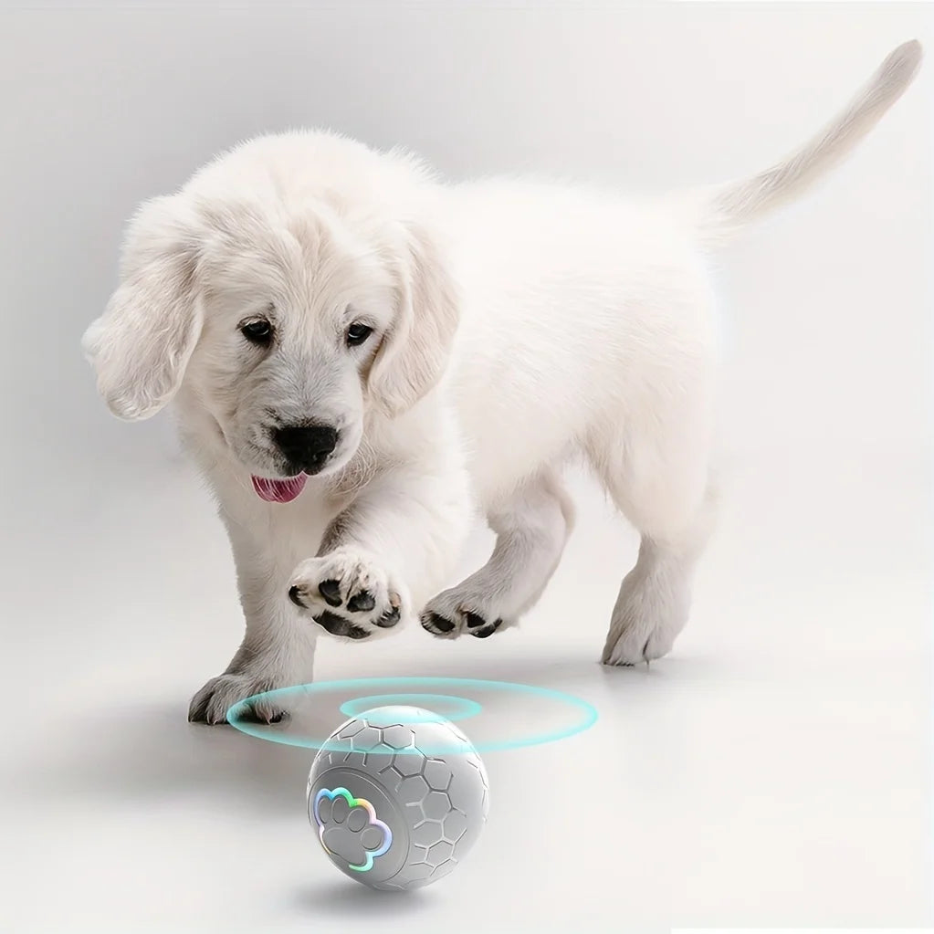 SmartMotion Interactive Ball