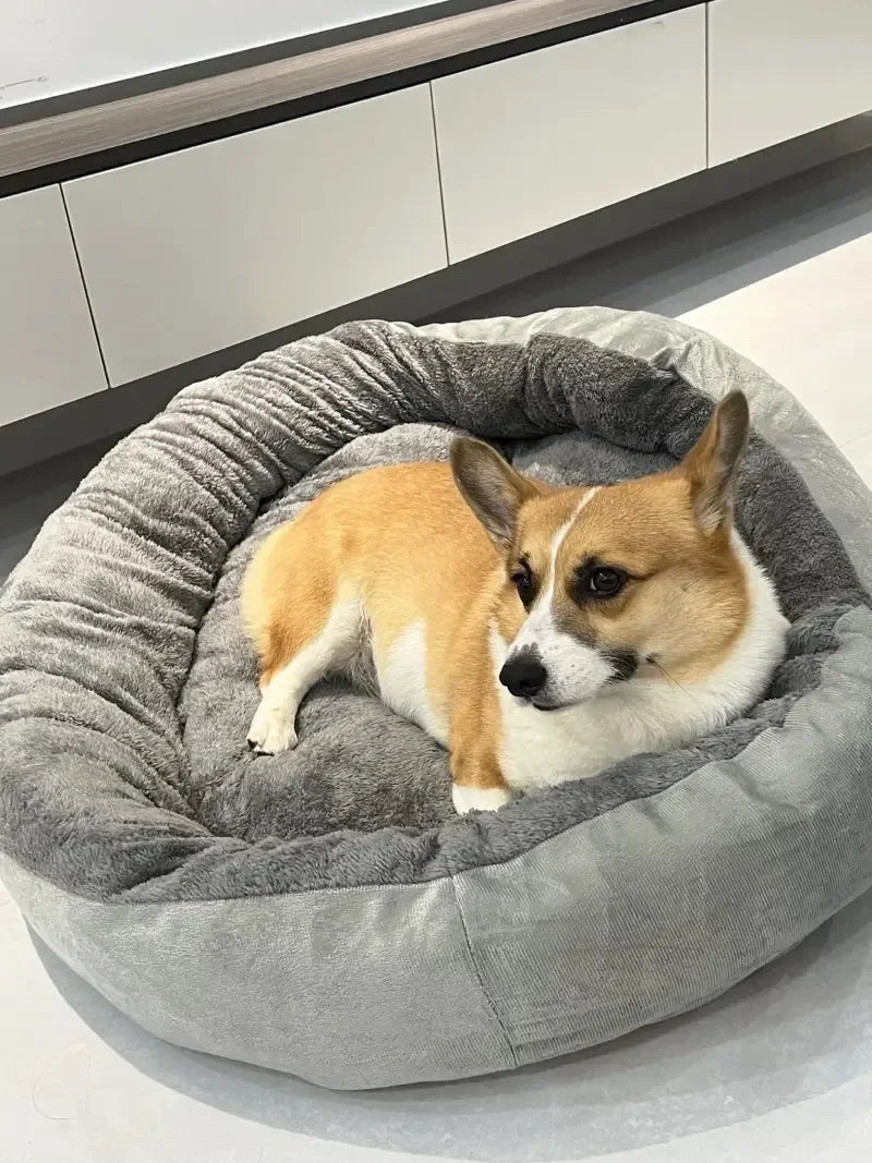 CloudLounge Calming Sofa Bed