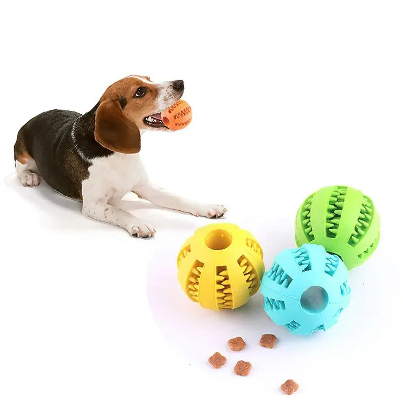 SmartTreat Chew Ball