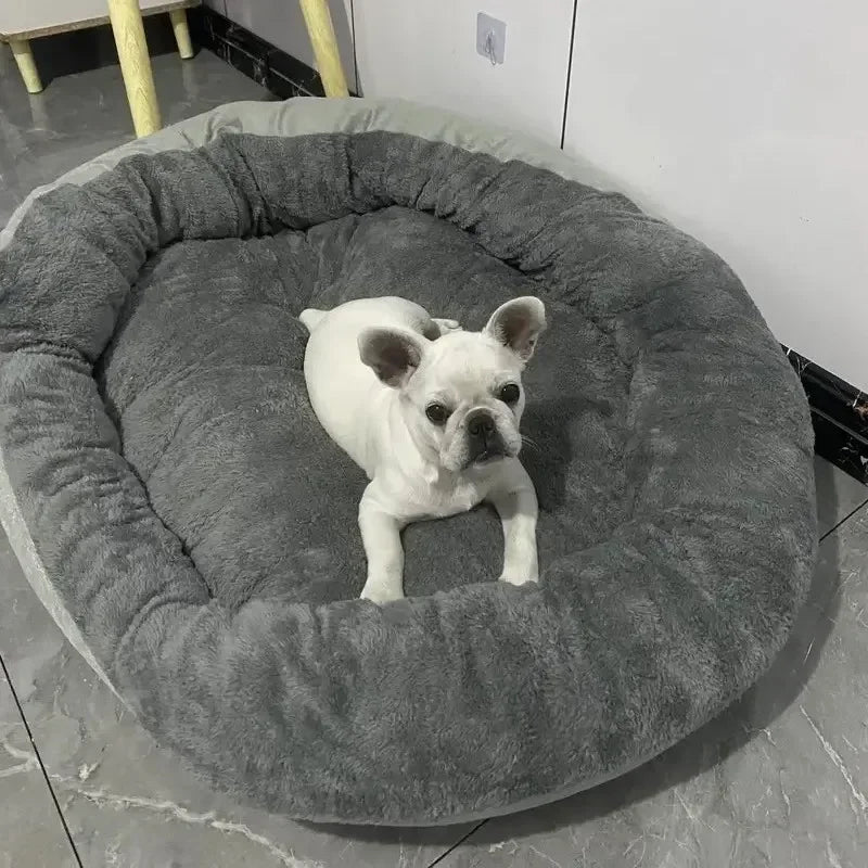CloudLounge Calming Sofa Bed