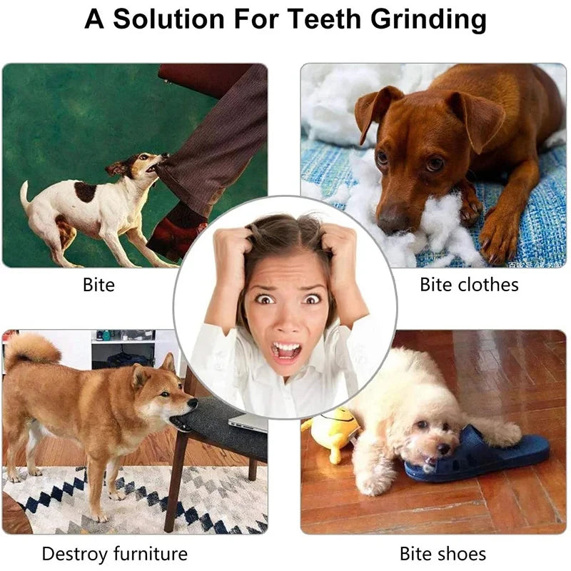 SmartTreat Chew Ball