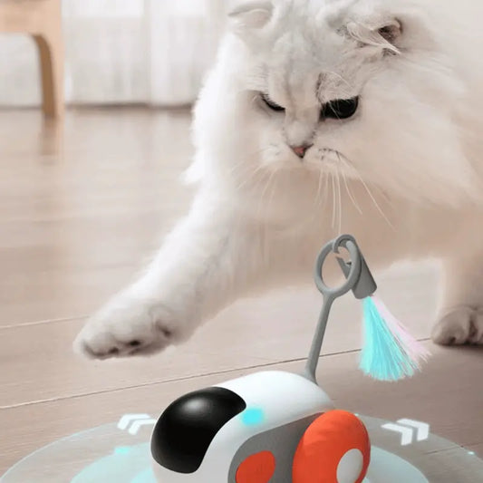 SmartChase Interactive Toy
